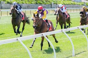 AUDIO: DANNY O'BRIEN ON CORRECT WEIGHT